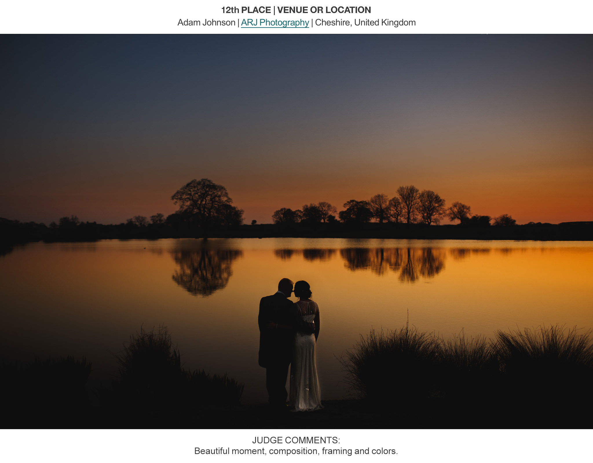 Award winning wedding photography - ispwp winter 2014 contest - arj photography