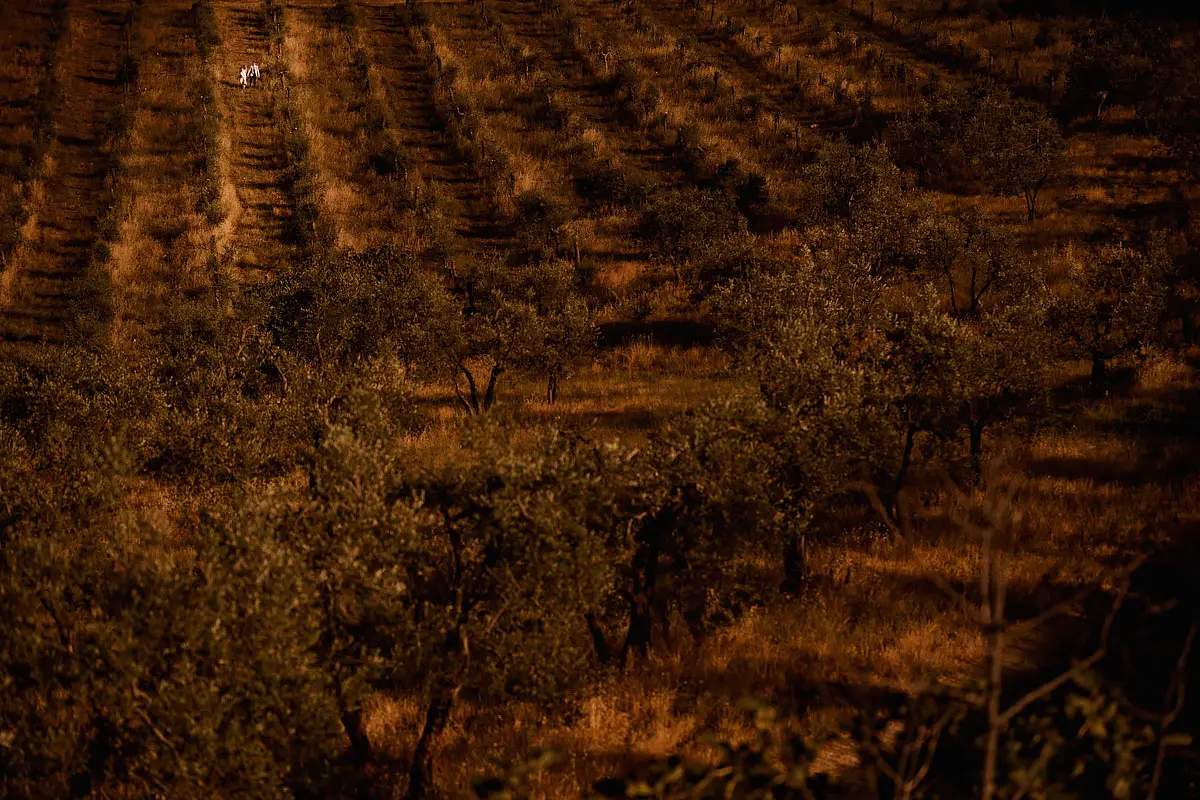 An epic photo of a tiny bride and groom in a vineyard at a Tuscany destination wedding in Italy - artistic wedding photography by ARJ Photography®